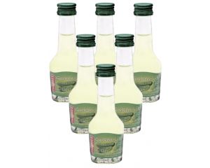 6 Fläschchen Spreewälder Gurken-Likör 18 % Vol. klein