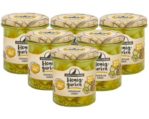 6 Gläser Premium Honig Senf Gurken